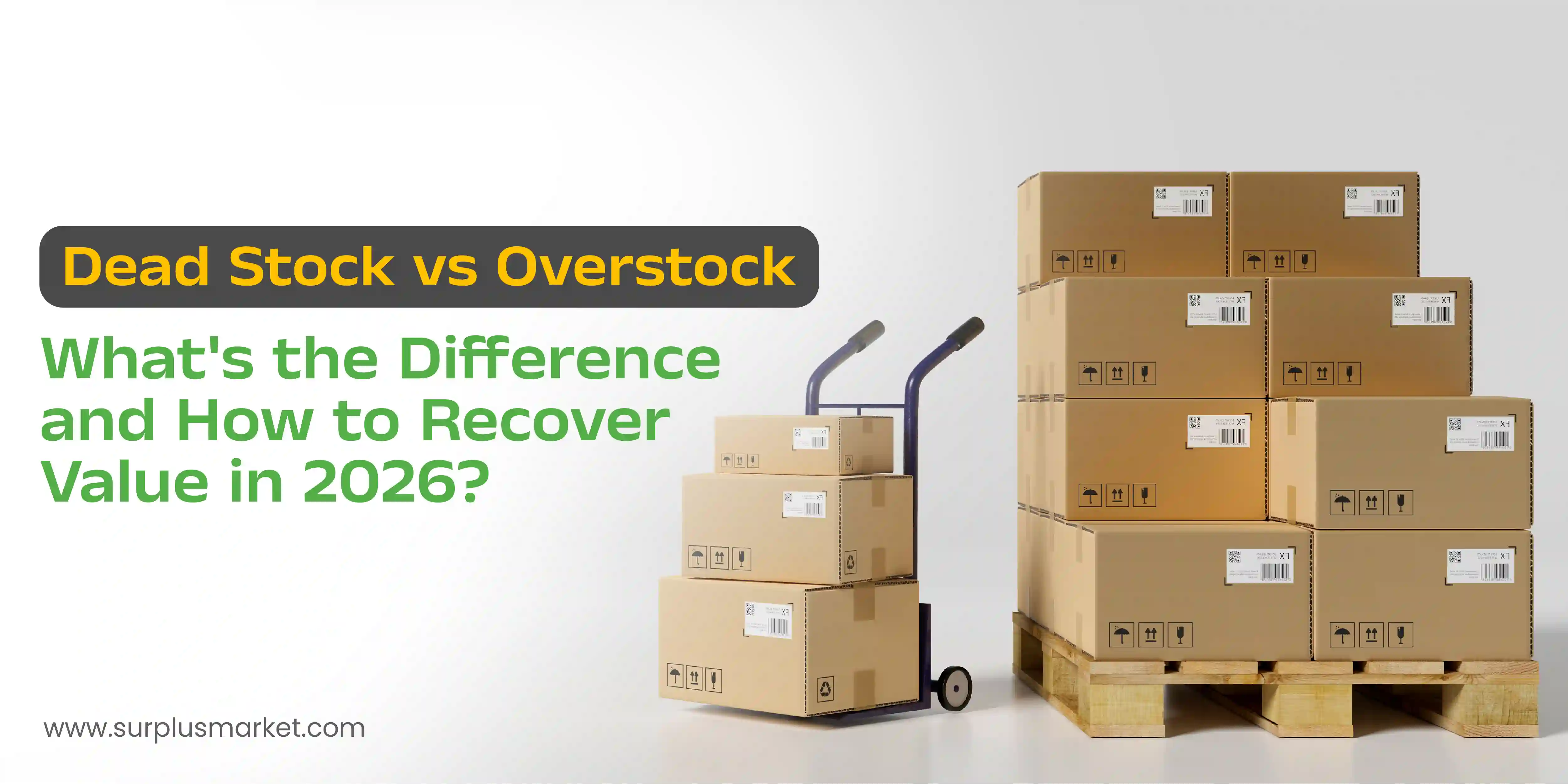 Dead Stock vs Overstock: What's the Difference and How to Recover Value in 2026?