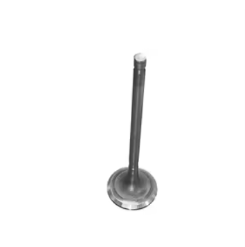 Mitsubishi Valve Exh.-Mn163902