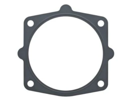 Nissan-Renault-Infiniti Gasket Throttle Cham-16175-95F0B
