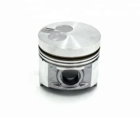 Nissan-Renault-Infiniti Piston-12010-03J9B