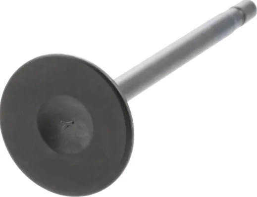 Nissan-Renault-Infiniti Valve Exhaust-13202-7S01A